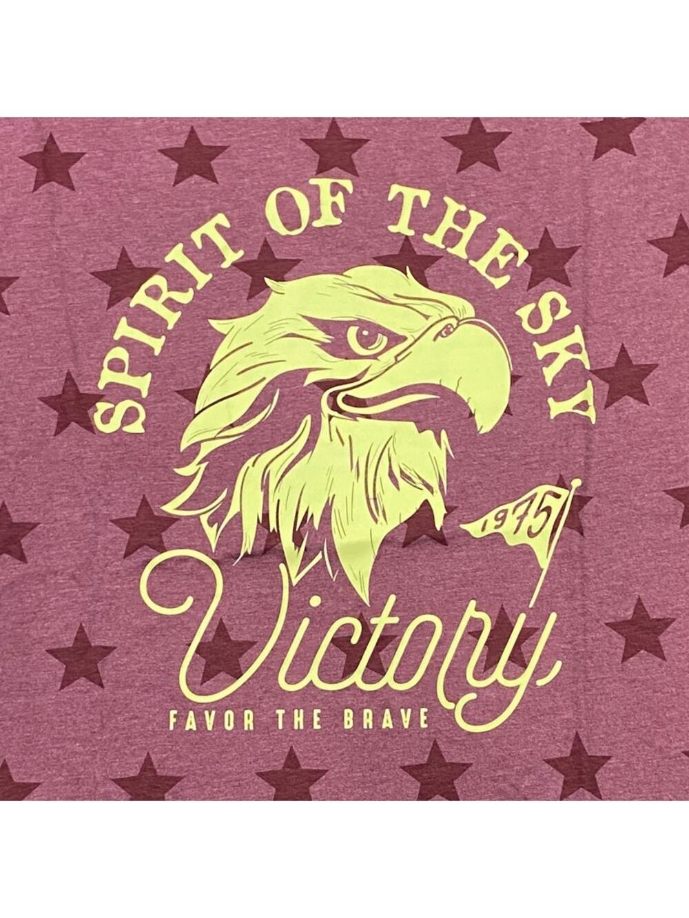 LAT Five Star Spirit of the Sky Printed Graphic Tee Size Large